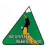 LOGO DELLA SQUADRA/SOCIETÀ