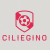 LOGO DELLA SQUADRA/SOCIETÀ