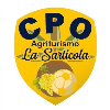 LOGO DELLA SQUADRA/SOCIETÀ