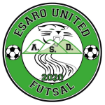 LOGO DELLA SQUADRA/SOCIETÀ