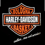 LOGO DELLA SQUADRA/SOCIETÀ