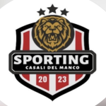 LOGO DELLA SQUADRA/SOCIETÀ