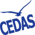 LOGO DELLA SQUADRA/SOCIETÀ